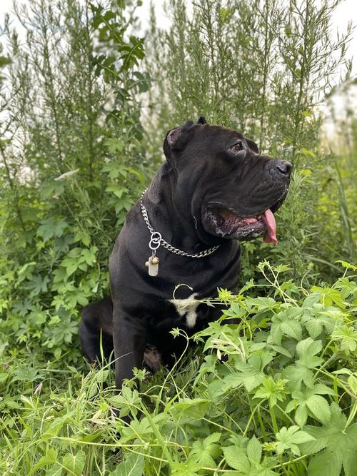 20221117132457_76078 20221117132457_76078