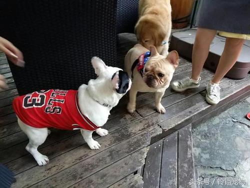 20221117145845_19556