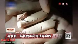 异烟肼多大剂量会毒死狗  1000毫克的异烟肼能毒死多大的狗-警犬训练器材厂家 _警犬训练用品_工作犬训练用品-南京开久警犬装备