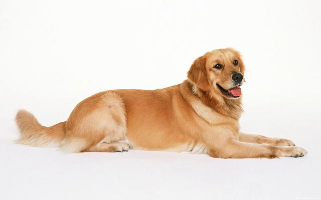 20221117162223_23680