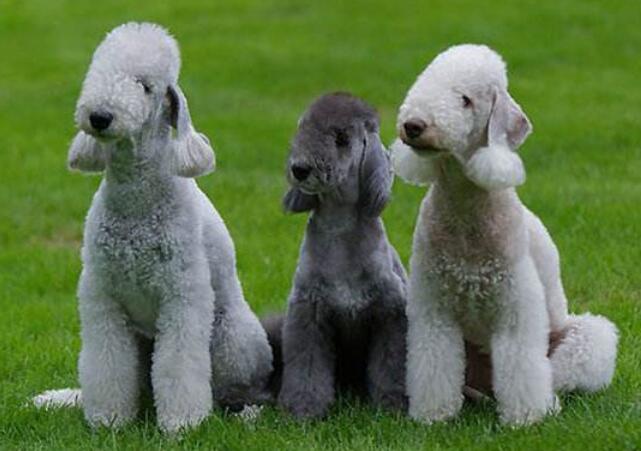 20221117162224_75335