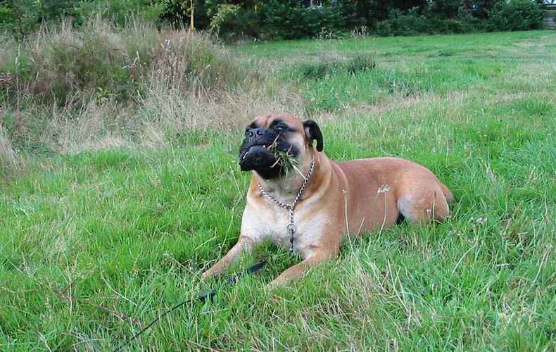 20221117171632_61532