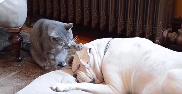 20221117173139_37163