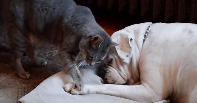 20221117173139_69861