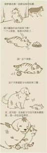 漫画的主角是一只狗和一只猫(一个人养了一只狗一只猫的漫画)-警犬训练器材厂家 _警犬训练用品_工作犬训练用品-南京开久警犬装备