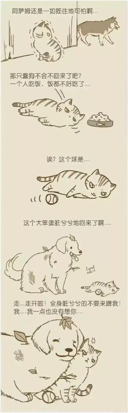 漫画的主角是一只狗和一只猫(一个人养了一只狗一只猫的漫画) - 警犬训练器材厂家 _警犬训练用品_工作犬训练用品-南京开久警犬装备-警犬训练器材厂家 _警犬训练用品_工作犬训练用品-南京开久警犬装备