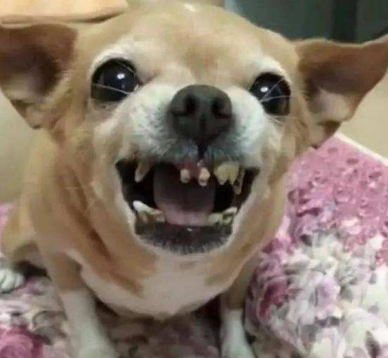 20221117184804_30432