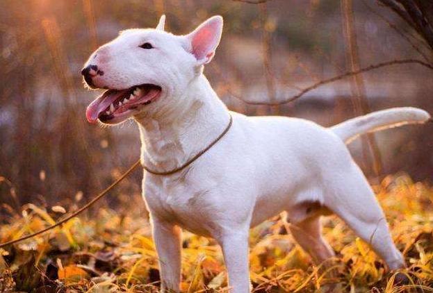 20221117184805_60422