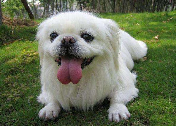 20221117184805_76881