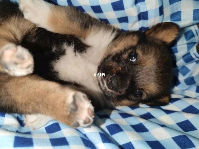 20221117191454_83707