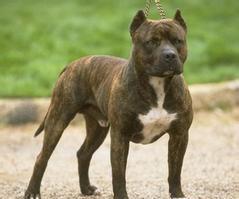 20221118100503_67363