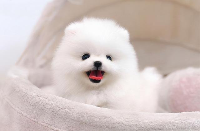 20221118120626_29571