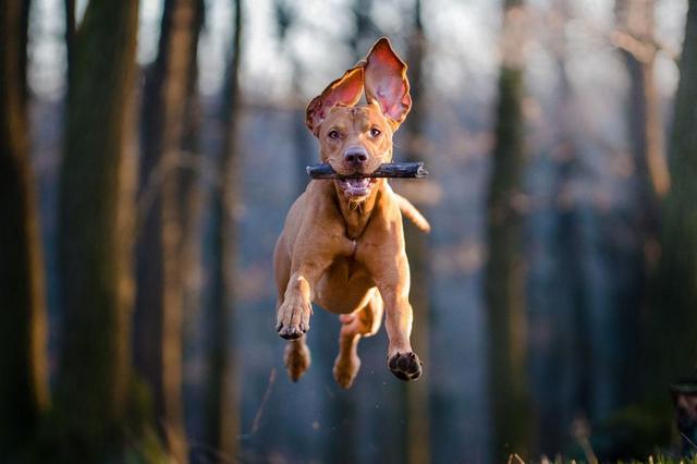 20221118120626_85793