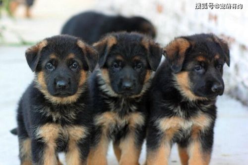 20221118142417_39604 20221118142417_39604