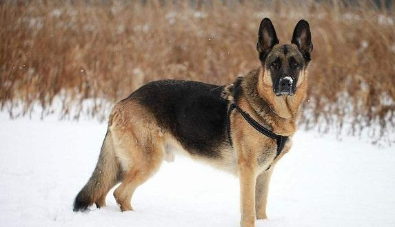 20221118142417_70312 20221118142417_70312