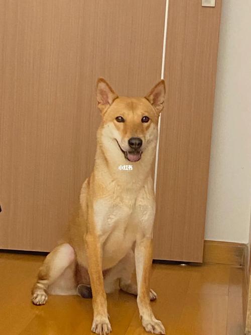 20221118142716_12726 20221118142716_12726