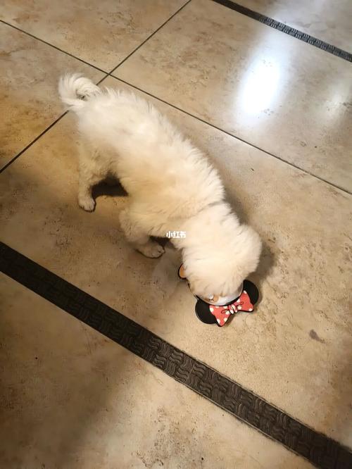 20221118142716_33702 20221118142716_33702