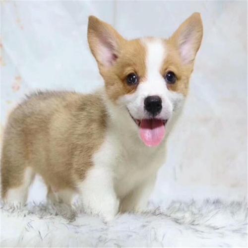 20221118143054_56729