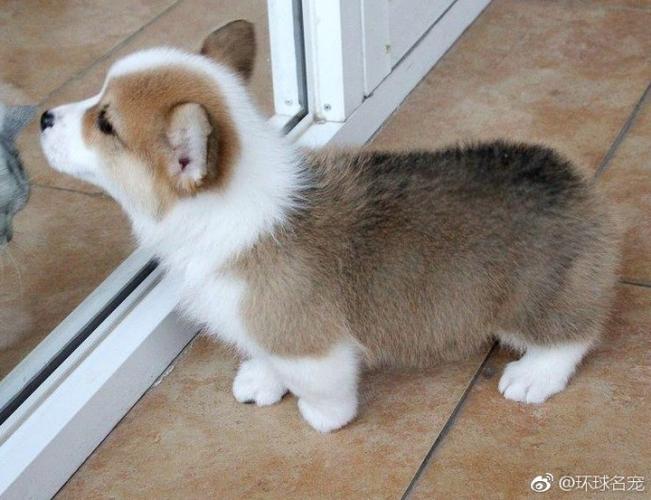 20221118143055_84259