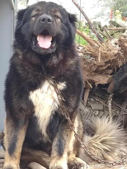 20221118144557_76406