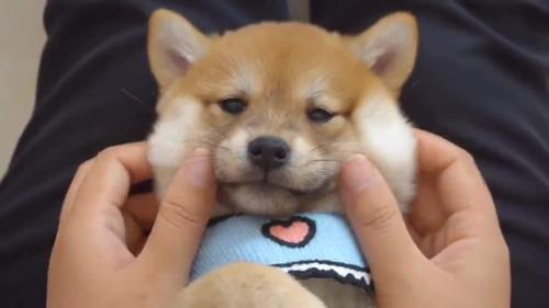 20221118145501_46609