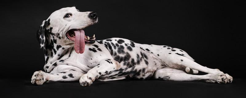 20221118154453_86674 20221118154453_86674