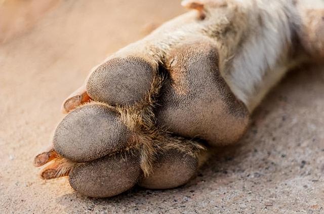 20221118161032_68663