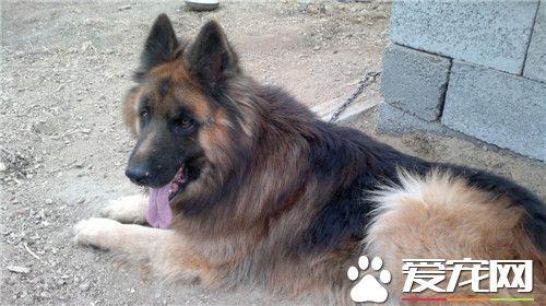 20221118172654_10438