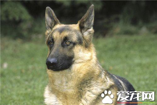 20221118172654_52613