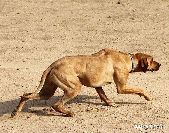 20221119111613_56706 20221119111613_56706