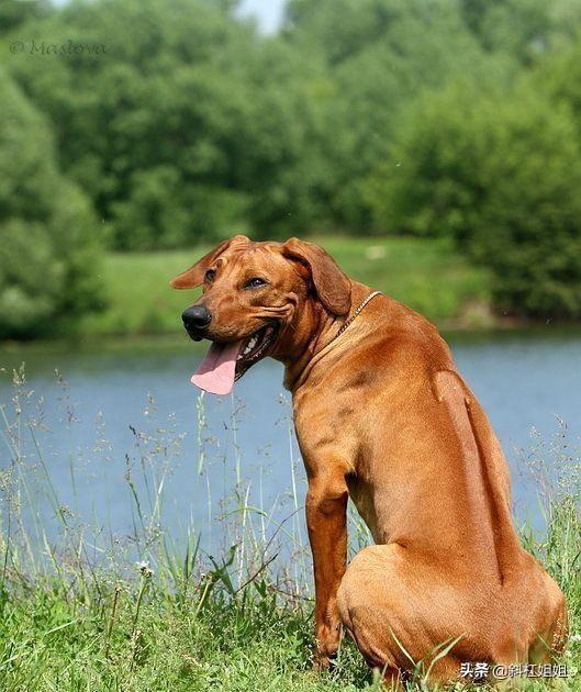 20221119111614_50367 20221119111614_50367