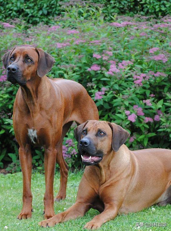 20221119111614_78121 20221119111614_78121