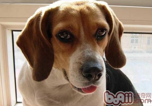 20221119114353_22498