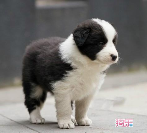 20221119153909_16787