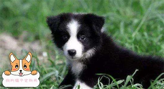 20221119153909_47324