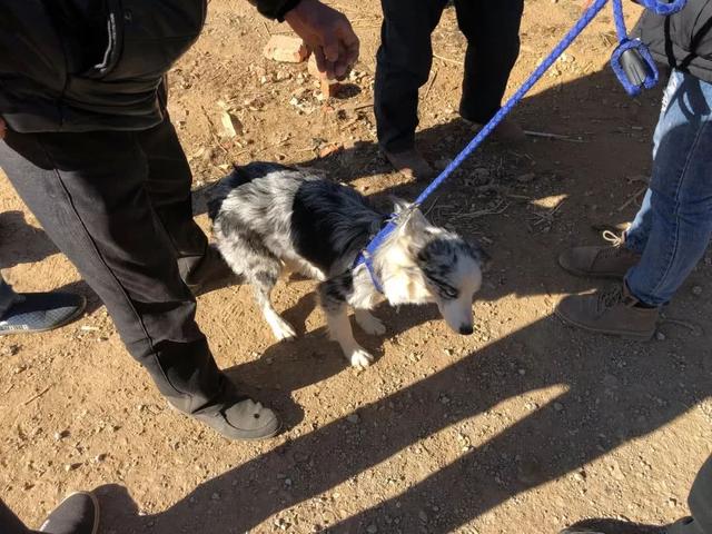 20221119171518_92029 20221119171518_92029