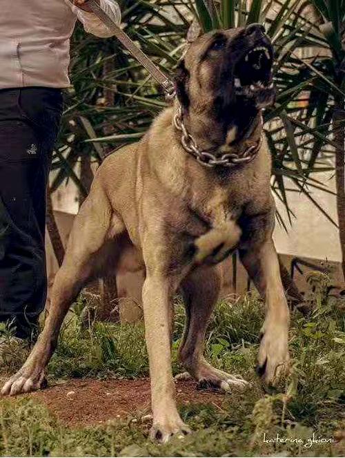 20221119171733_27130