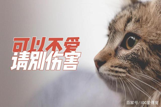 20221119182407_25180