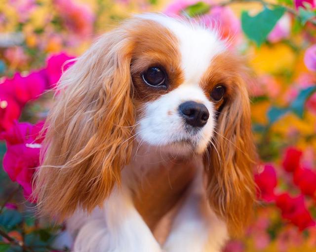 20221120105929_52273 20221120105929_52273