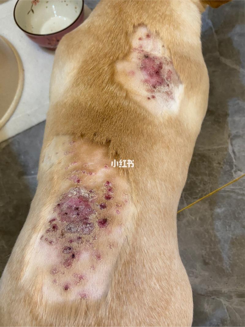 20221120111950_14574 20221120111950_14574