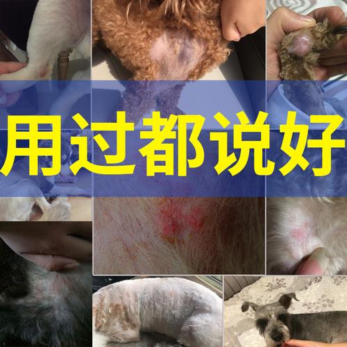 20221120111950_58605 20221120111950_58605