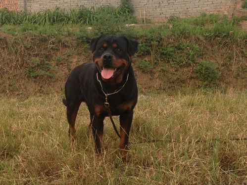 20221120115528_65707 20221120115528_65707