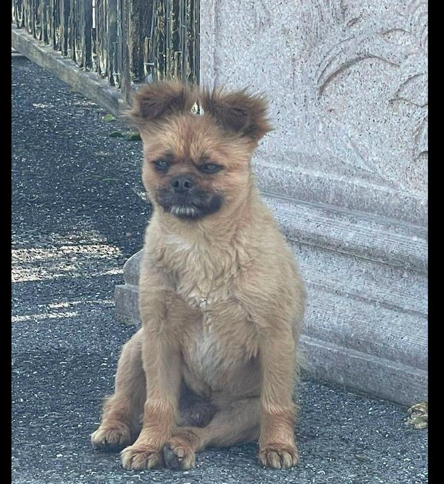 20221120161535_31432 20221120161535_31432