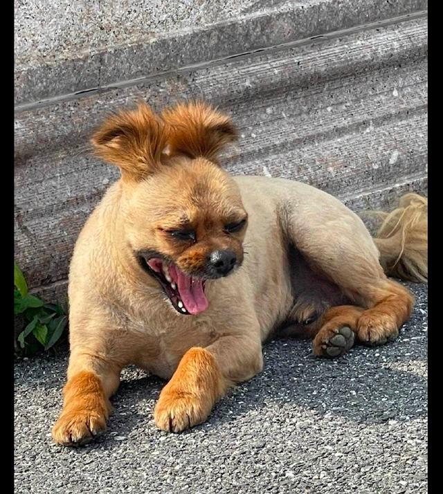 20221120161535_58708 20221120161535_58708