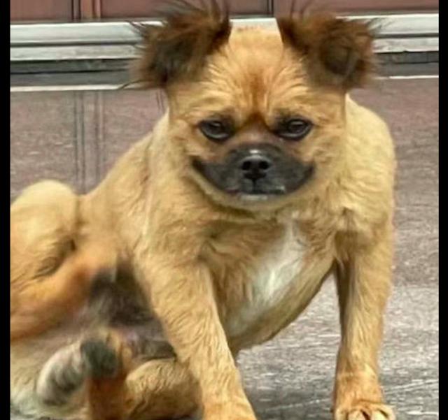 20221120161535_81533 20221120161535_81533