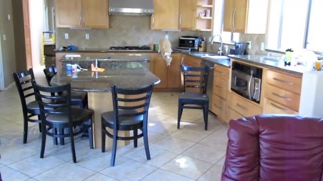 20221120172425_78589 20221120172425_78589