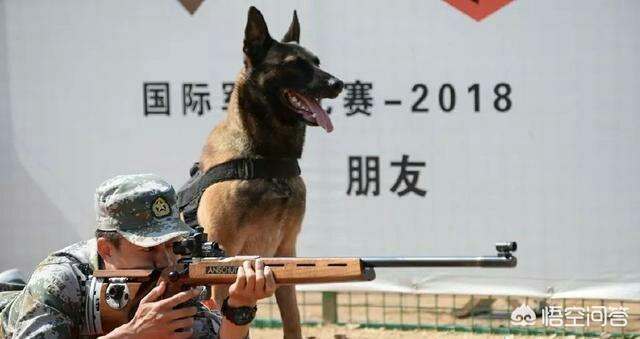 20221120180212_24798 20221120180212_24798