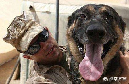 20221120180213_21289 20221120180213_21289