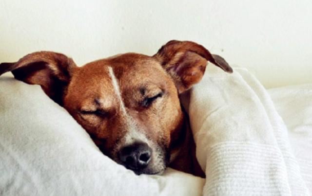 20221120203820_50457