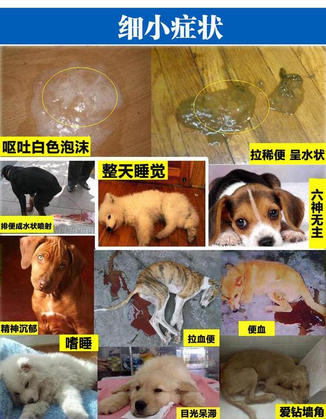 20221121090044_81080 20221121090044_81080